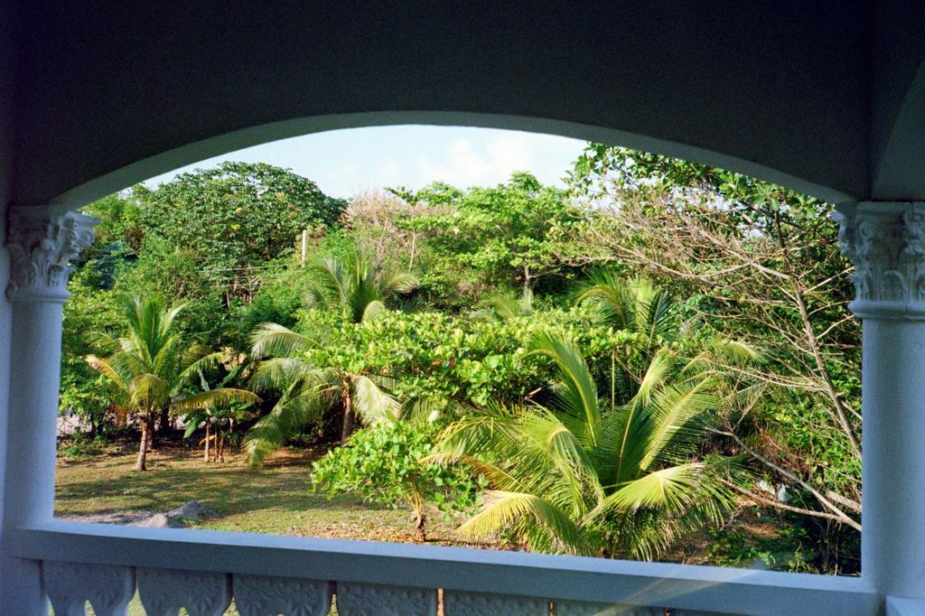 Boston Beach Guesthouse Port Antonio Exterior photo